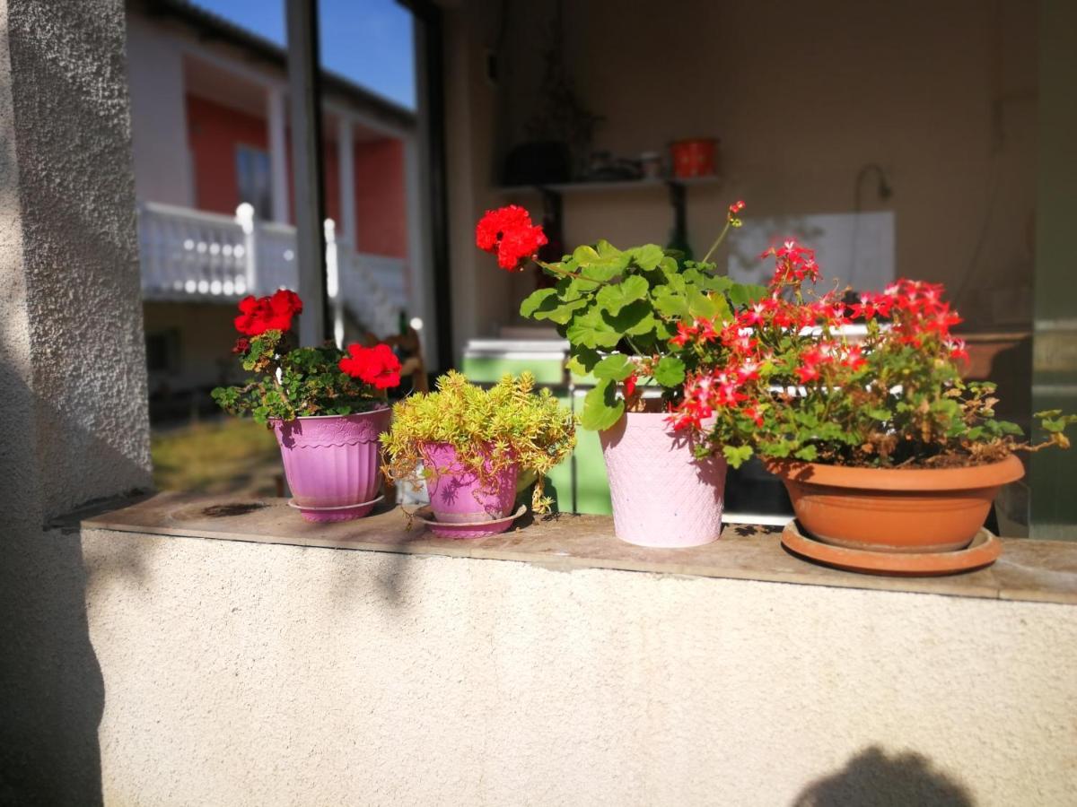 Nini'S Sweet House Otel Matkhoji Dış mekan fotoğraf