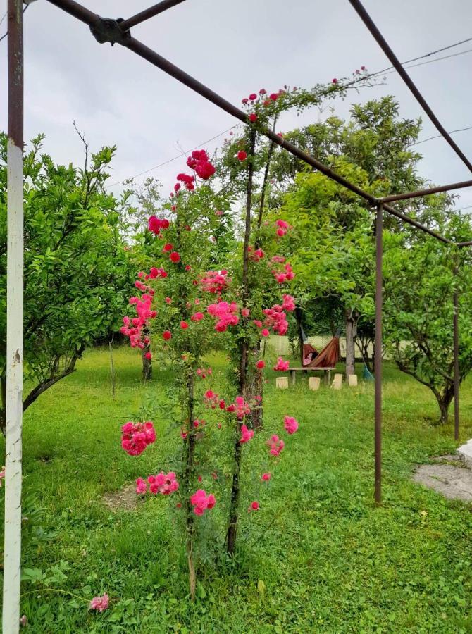 Nini'S Sweet House Otel Matkhoji Dış mekan fotoğraf